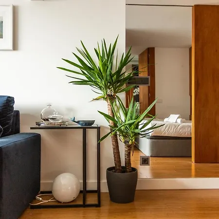 Kate Home'S Trindade Apartments - Porto'S City Centre Extérieur photo